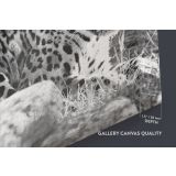 Large Tiger Black and White Photography Canvas Wall Art - Image 6