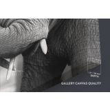 Black and White Elephants Photography Canvas Wall Art - Image 6