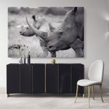Rhinoceros Black and White Photography Canvas Wall Art