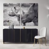 Rhinoceros Black and White Photography Canvas Wall Art - Image 2