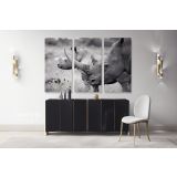 Rhinoceros Black and White Photography Canvas Wall Art - Image 3