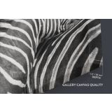 Zebra Large Black and White Photography Canvas Wall Art - Image 6