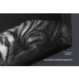 Large Tiger Canvas Black and White Photography Canvas Wall Art - Image 6