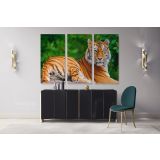 Large Tiger Canvas Photography Canvas Wall Art - Image 2