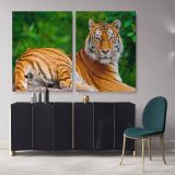 Large Tiger Canvas Photography Canvas Wall Art - Image 3
