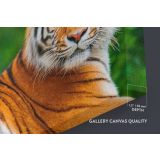 Large Tiger Canvas Photography Canvas Wall Art - Image 6