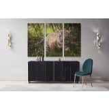 Tiger Cub Canvas Photography Canvas Wall Art - Image 3