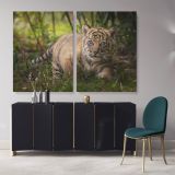 Tiger Cub Canvas Photography Canvas Wall Art - Image 2