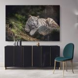 White Tiger Canvas Photography Canvas Wall Art