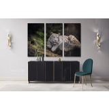 White Tiger Canvas Photography Canvas Wall Art - Image 3