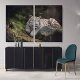 White Tiger Canvas Photography Canvas Wall Art - Image 2