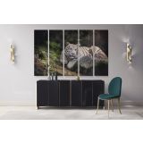 White Tiger Canvas Photography Canvas Wall Art - Image 5