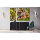 Large Tiger wall art Wild Animals Canvas Wall Art - Image 2