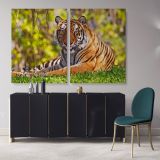 Large Tiger wall art Wild Animals Canvas Wall Art - Image 3
