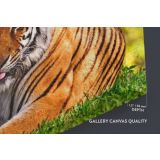 Large Tiger wall art Wild Animals Canvas Wall Art - Image 6