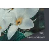 Tropical Flowers Leaves Canvas for Green Leaves WallArt Canvas Wall Art - Image 6