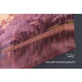 Colourful White House Spring Time View Canvas Wall Art - Image 6