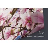 Pink Magnolia Flower wall art Floral Wall Art Decoration Magnolia Flower Canvas Wall Art - Image 6