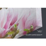 Pink Magnolia Flower wall art Floral Wall Art Magnolia Flower Canvas Wall Art - Image 6