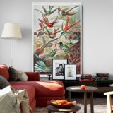 Hummingbirds (Trochilidae) - Vibrant Ornithological Plate By Ernst Haeckel canvas wall art