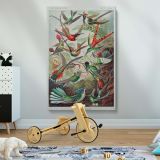 Hummingbirds (Trochilidae) - Vibrant Ornithological Plate By Ernst Haeckel canvas wall art - Image 2