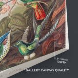 Hummingbirds (Trochilidae) - Vibrant Ornithological Plate By Ernst Haeckel canvas wall art - Image 3