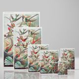 Hummingbirds (Trochilidae) - Vibrant Ornithological Plate By Ernst Haeckel canvas wall art - Image 4