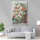 Hummingbirds (Trochilidae) - Vibrant Ornithological Plate By Ernst Haeckel canvas wall art - Image 5