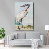 Jabiru - Tropical Bird Illustration (1770) By Aert Schouman canvas wall art - Image 5