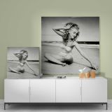 Marilyn Monroe - Andre de Dienes Photoshoot 2 — styled composition view