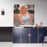 Marilyn Monroe - Sam Shaw Photoshoot 1957 — artistic interior view