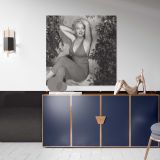 Marilyn Monroe - Ted Baron Photoshoots in Palm Springs 1954 — artistic interior view