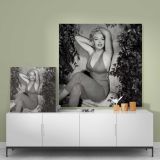 Marilyn Monroe - Ted Baron Photoshoots in Palm Springs 1954 — styled composition view