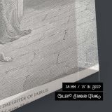 Raises Jairus's Daughter - Resurrection Miracle by Gustave Dore canvas wall art - Image 8