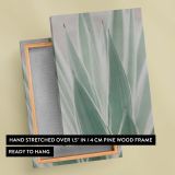 Sansevieria Plant - Minimal Green Botanical Close-Up canvas wall art - Image 6