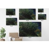 Lilace Painting by Vincent Van Gogh Dutch Painter Original Canvas Wall Art - Image 7