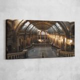 Sunlit Hall at the Natural History Museum — single-panel canvas shown on a pale studio wall