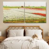 Tulip Fields by Gerrit Willem Dijsselhof — single-panel canvas in a bedroom