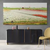 Tulip Fields by Gerrit Willem Dijsselhof — single-panel canvas above a sideboard