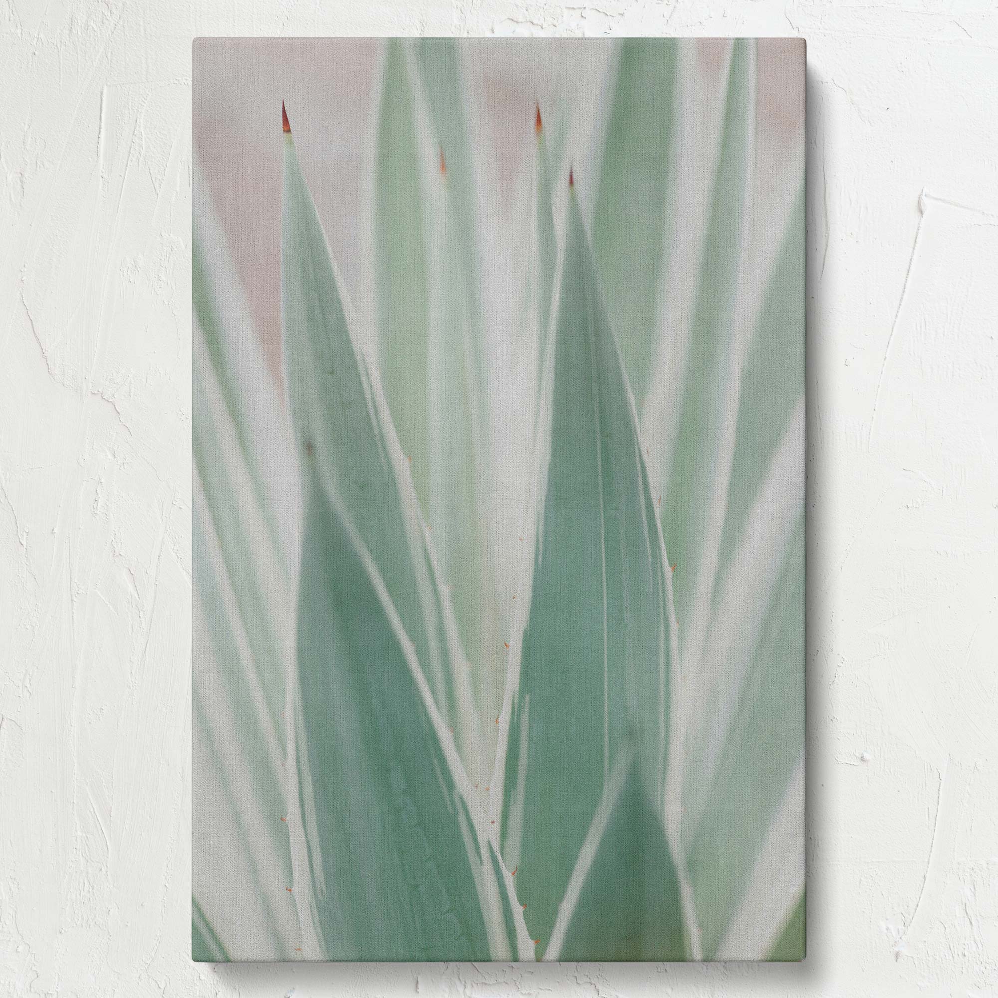 Sansevieria Plant minimalist botanical close-up canvas