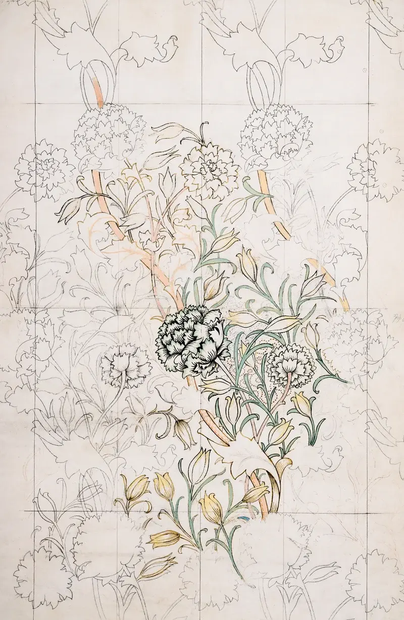 Wild Tulip botanical sketch on a light neutral ground